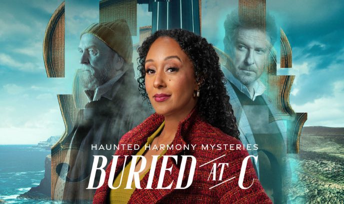 闹鬼的和谐之谜：埋葬在C封面图