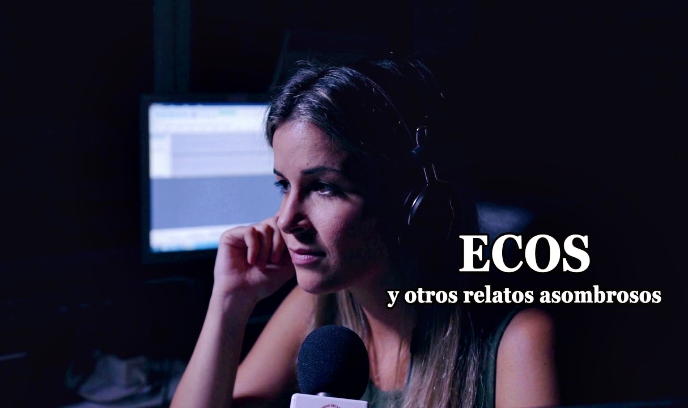 回声和其他非凡的故事封面图