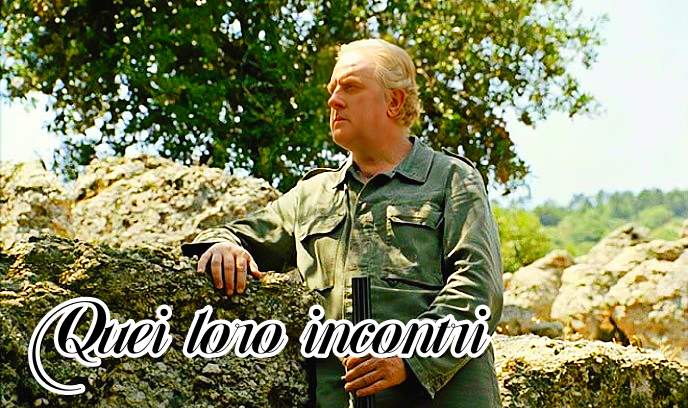 他们的约会封面图