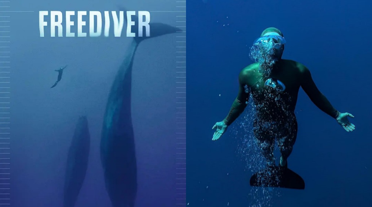 自由潜水员封面图