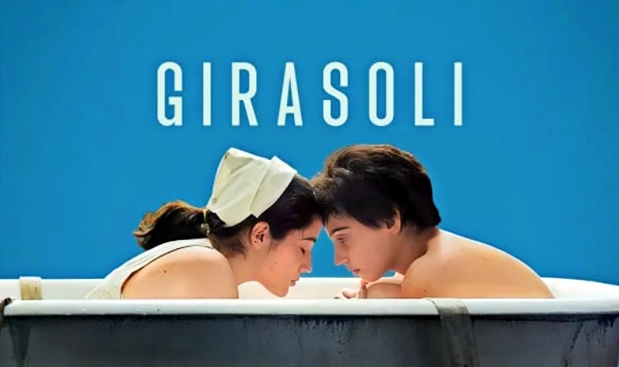 向日葵 2023封面图