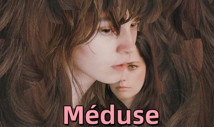 水母 2022封面图