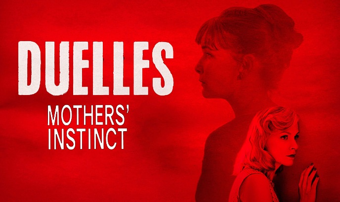 双姝疑云封面图