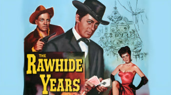 风尘双侠封面图