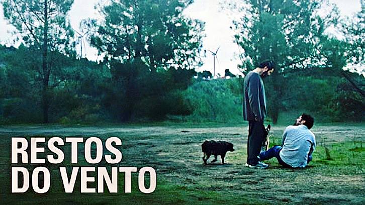 风的残迹封面图