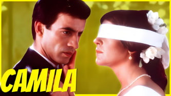 情海冤魂封面图