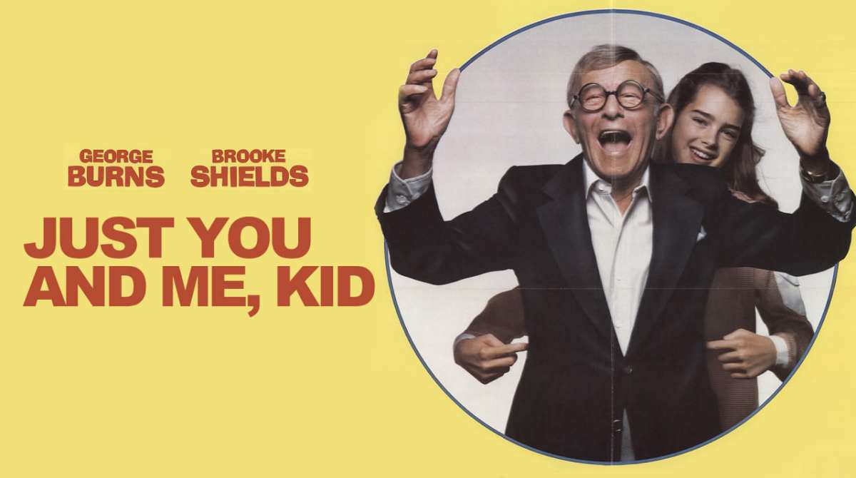 皓首红颜封面图