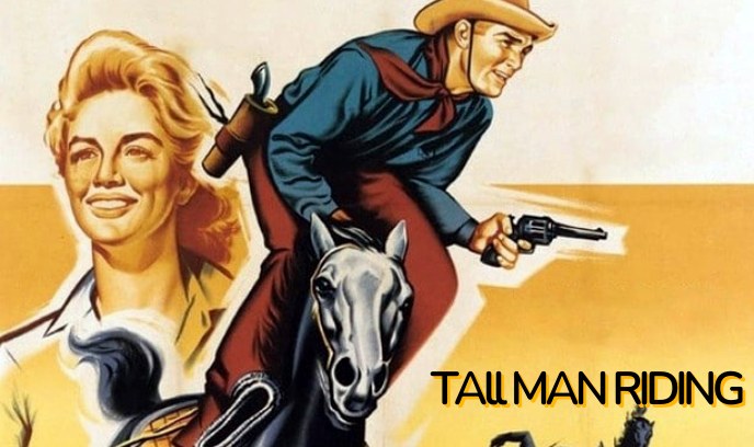 奇侠歼霸战封面图