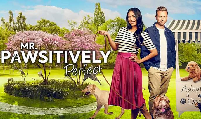 完美先生封面图