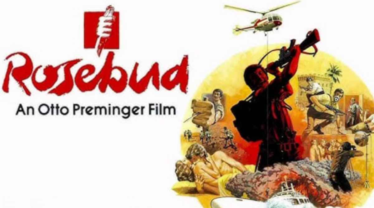 玫瑰花恋封面图