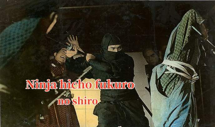 忍者秘帖 枭之城封面图