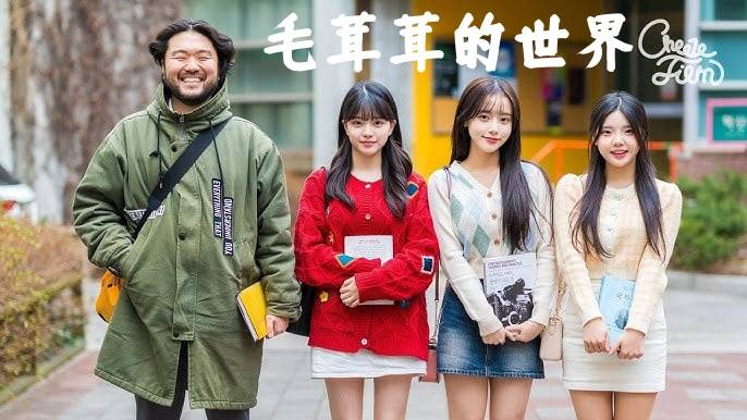 毛茸茸的世界封面图