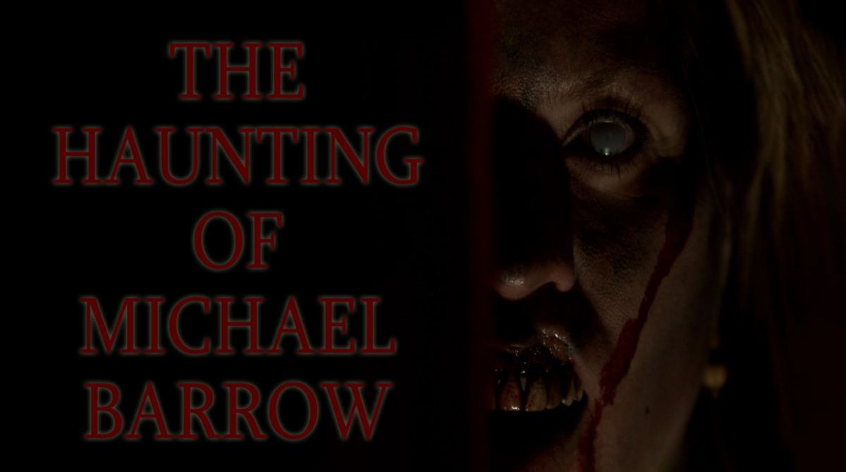 迈克尔·巴罗的困扰封面图