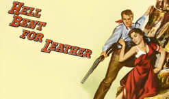 猛虎神枪封面图