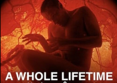 杰米·德梅特里：小品人生封面图