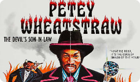 恶魔女婿封面图