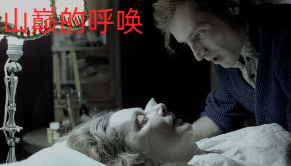 山巅的呼唤封面图