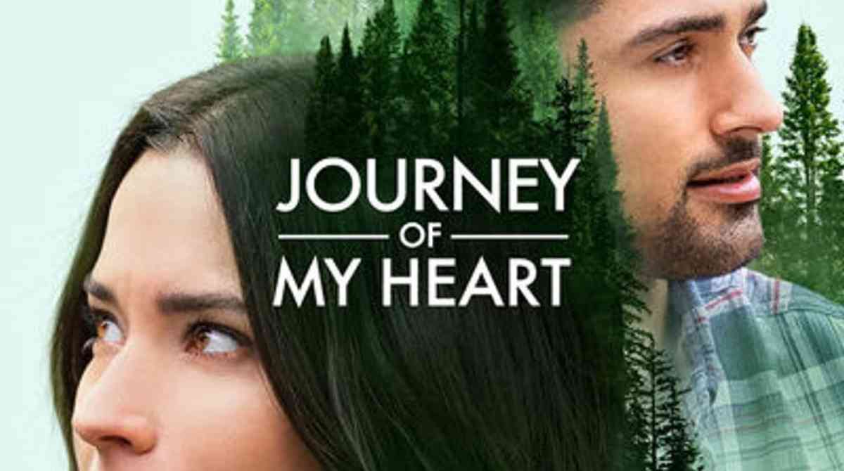 鹰翼上的爱情封面图