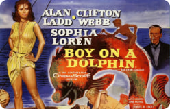 金童海豚封面图