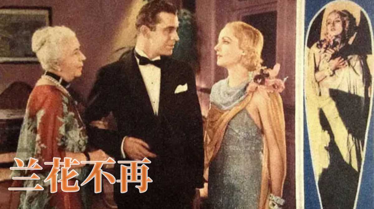 兰花不再封面图