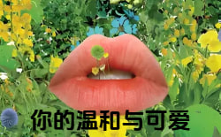 你的温和与可爱封面图