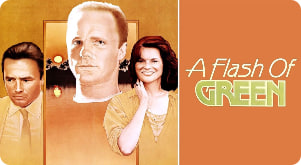 绿色闪光封面图