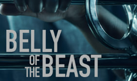 野兽之腹封面图