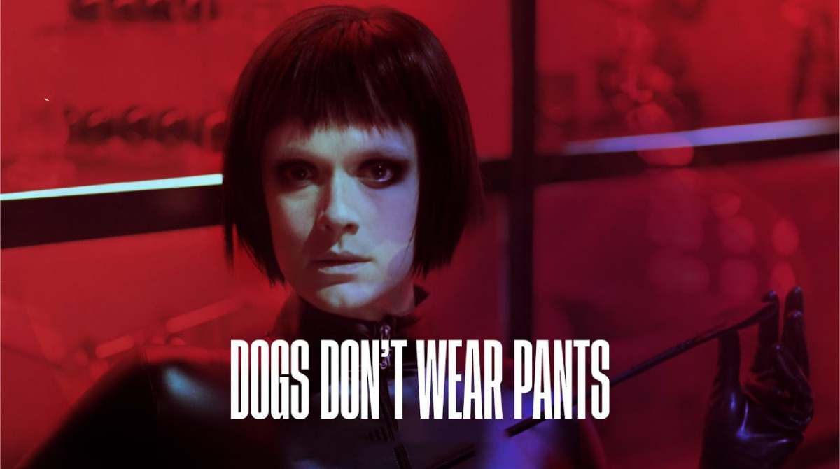 狗不穿裤子封面图