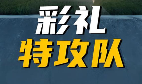 彩礼特攻队封面图