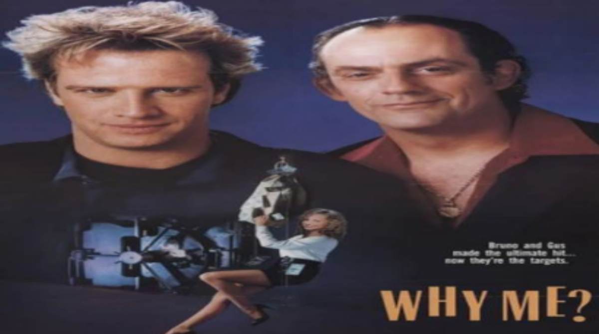 铁胆神偷封面图