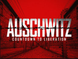 奥斯维辛：解放倒计时 2025封面图