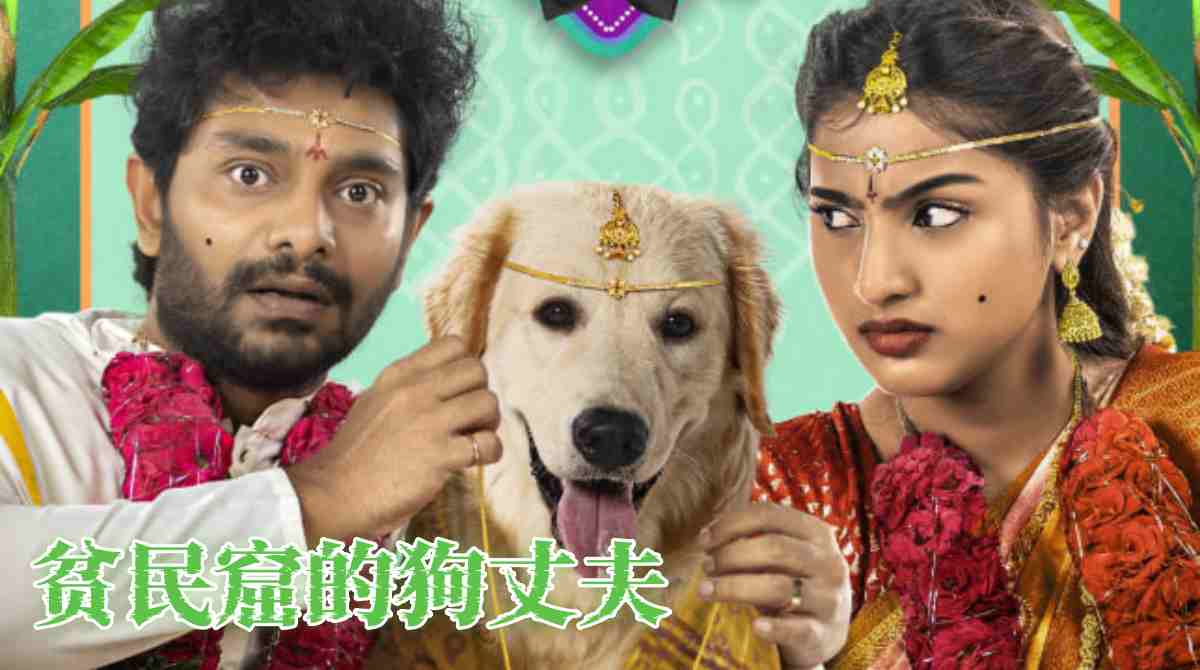 贫民窟的狗丈夫封面图