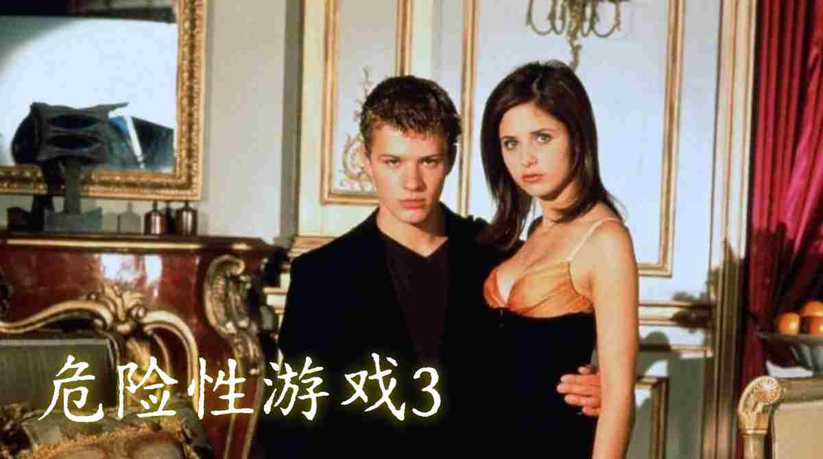危险性游戏3封面图