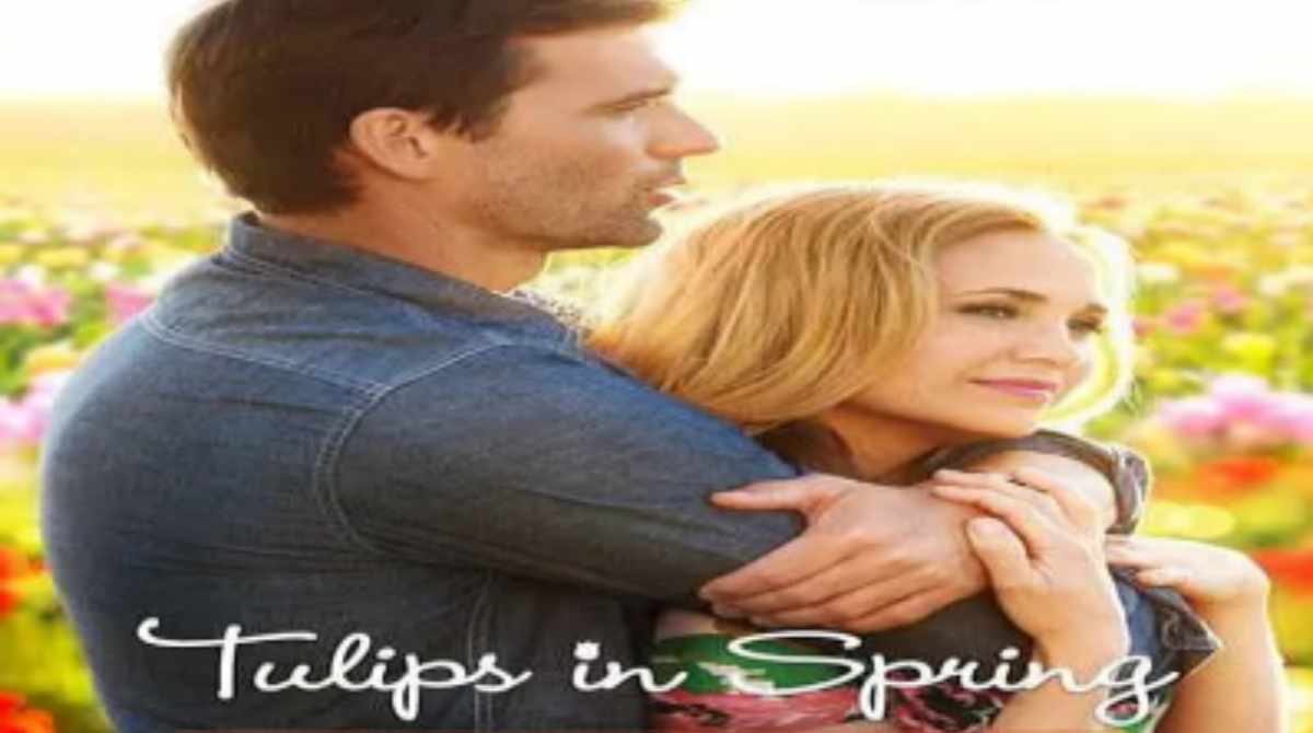 春天里的郁金香封面图