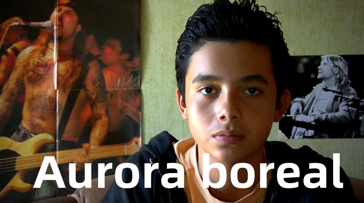 北极光 Aurora boreal封面图