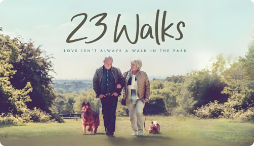 从心认识你封面图