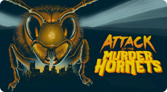 凶杀黄蜂队的进攻封面图