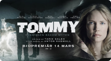 抢劫风暴封面图