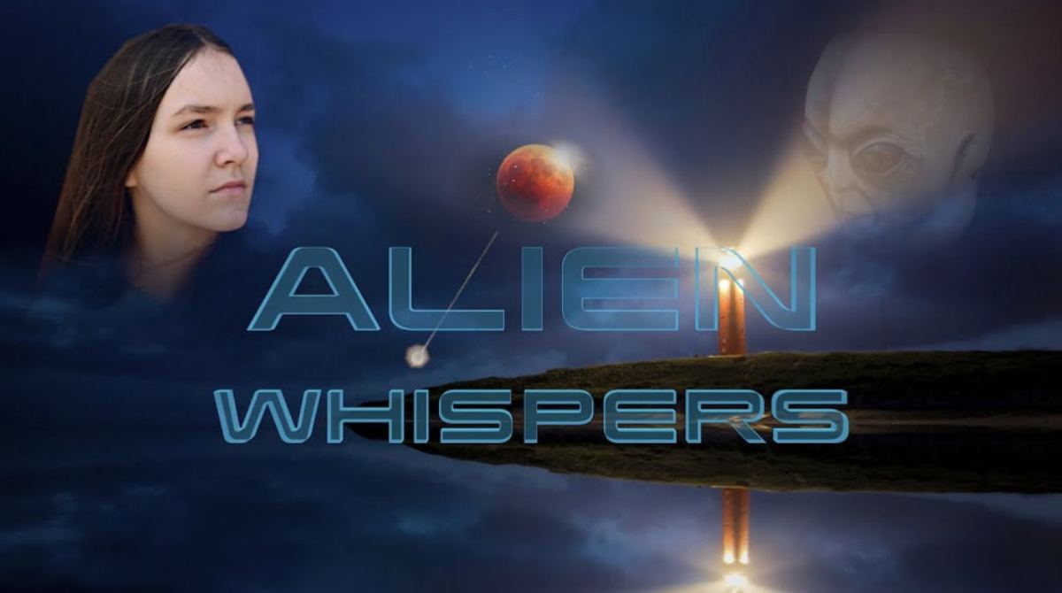 外星人的低语封面图