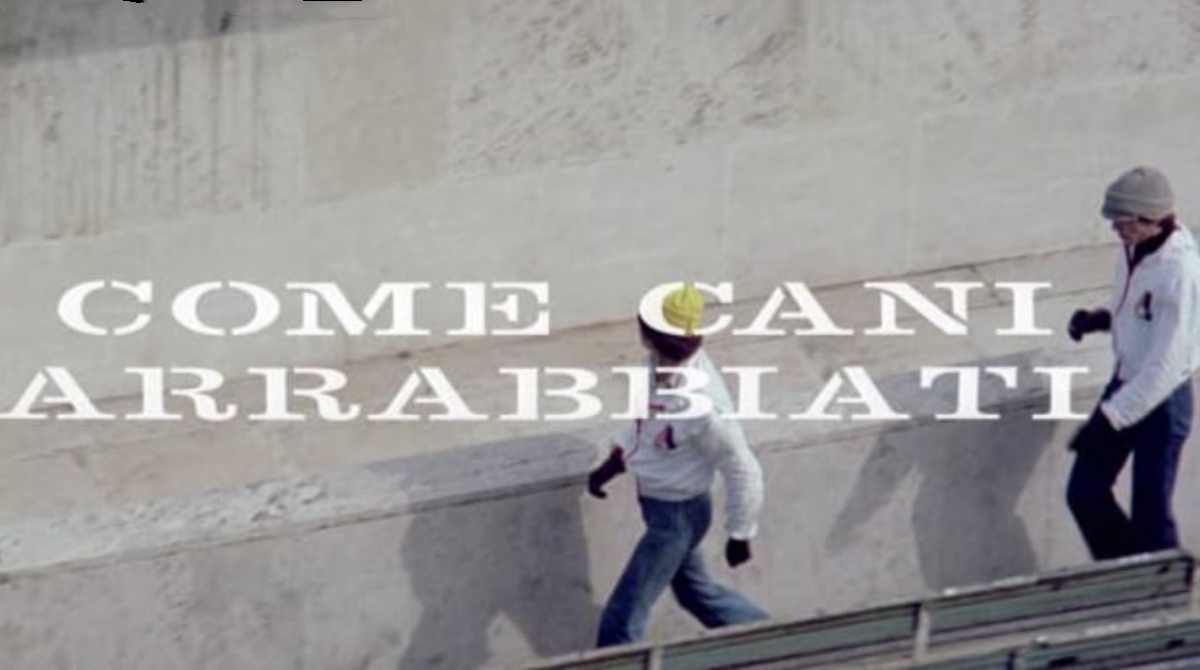 像疯狗一样封面图