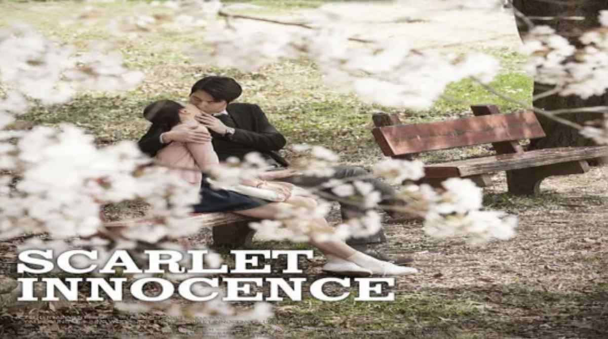 布拉芙夫人封面图