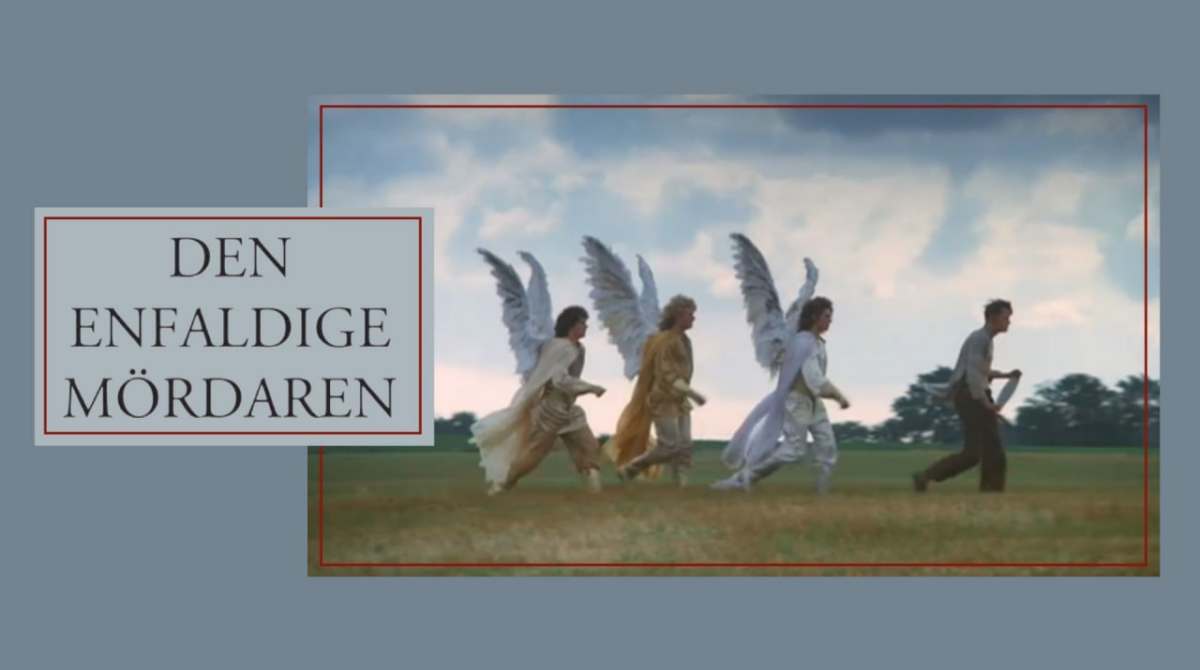 头脑简单的杀人犯封面图