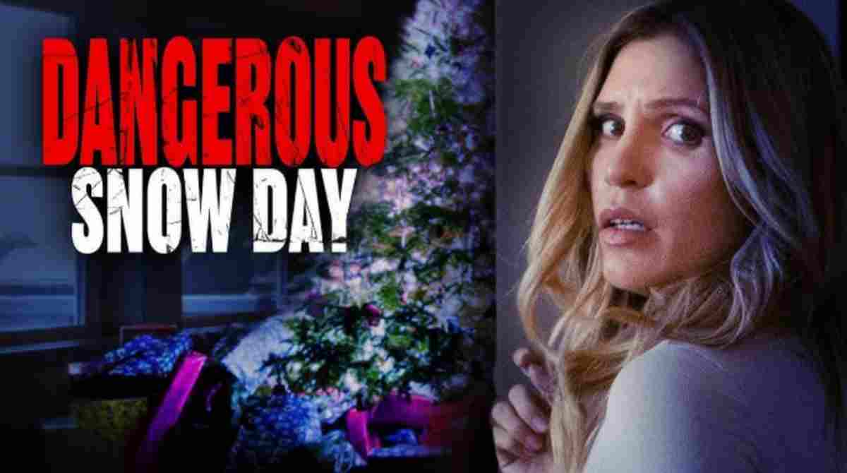 危险雪日封面图