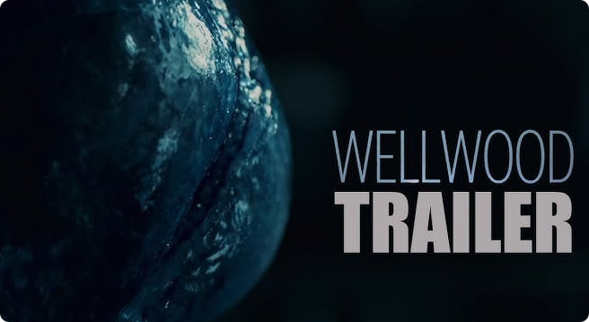 韦尔伍德 Wellwood封面图