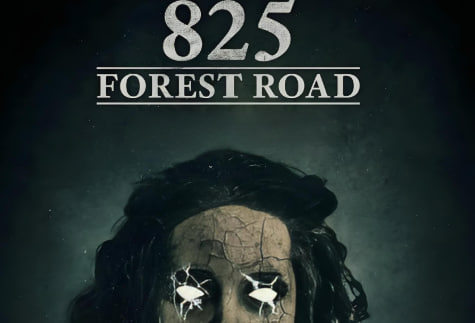 林荫路825号 825 Forest Road 2025封面图