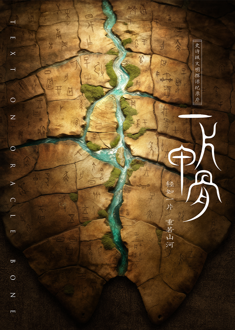 一片甲骨封面图