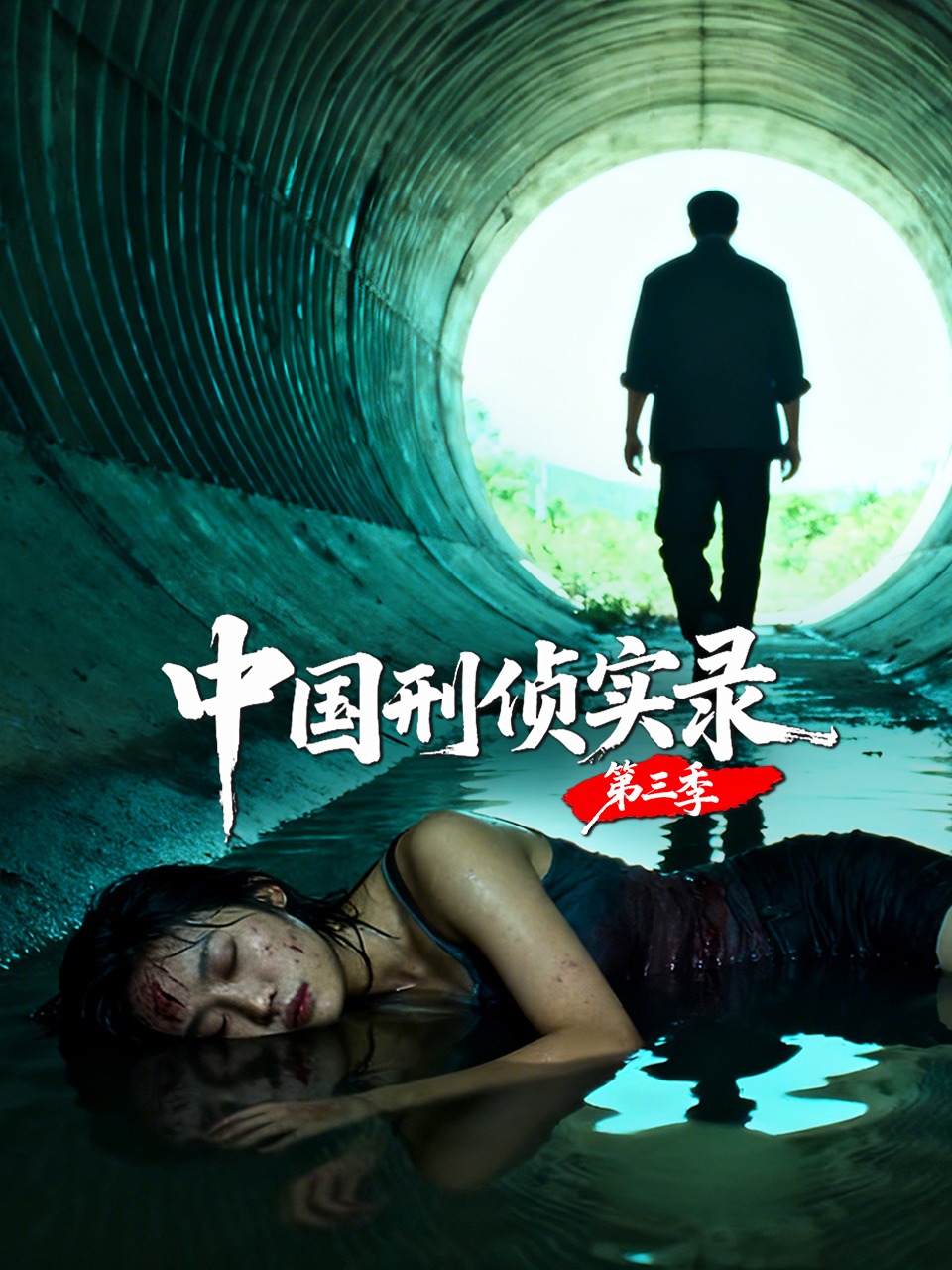 中国刑侦实录第三季封面图