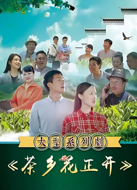 茶乡花正开封面图