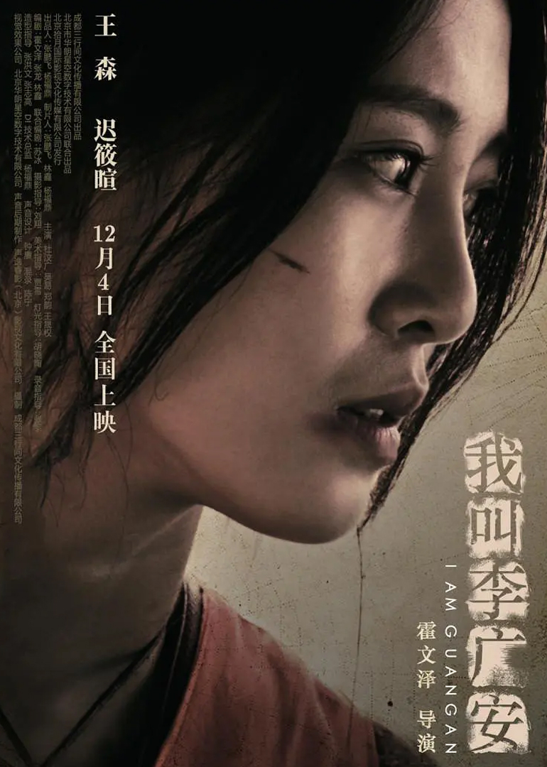 我叫李广安封面图