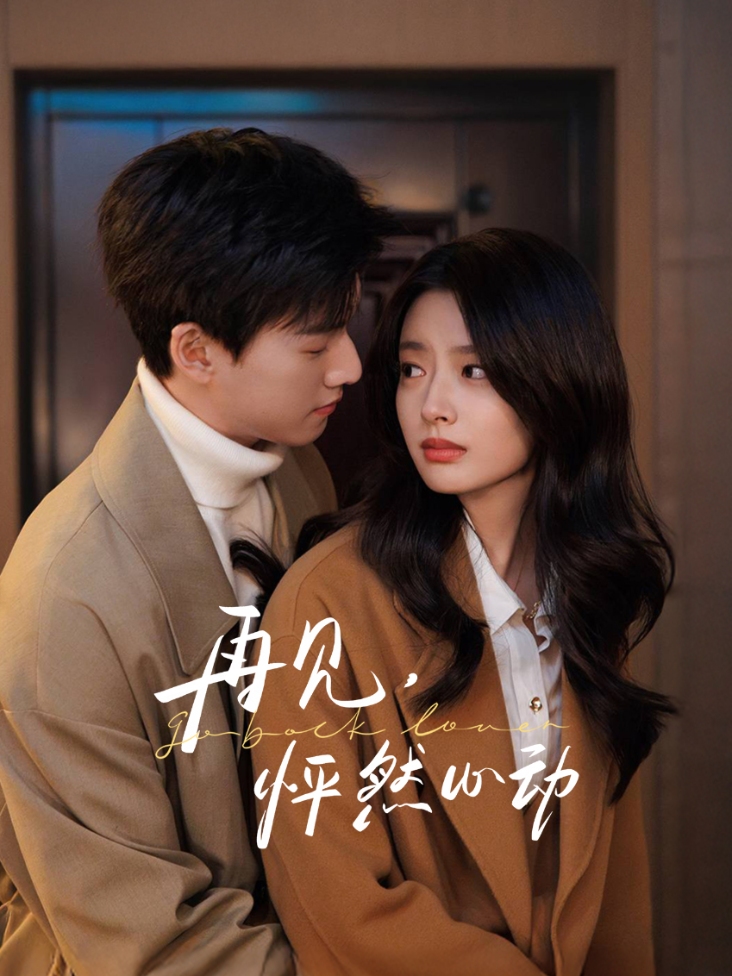 再见，怦然心动封面图